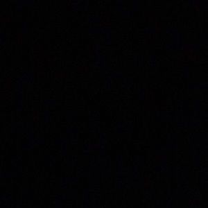 Meet your Posher, Dexter